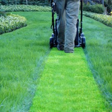 Espaces verts