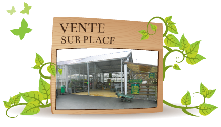 vente-sur-place